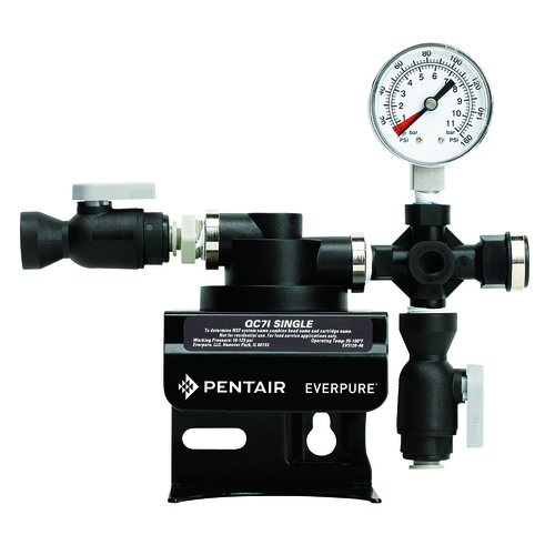 Everpure EV927241 QC7I Water Filtration System Head Assembly, Single